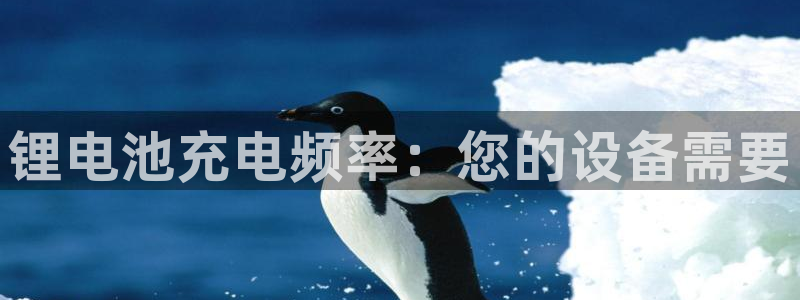 尊龙ag旗舰厅下载