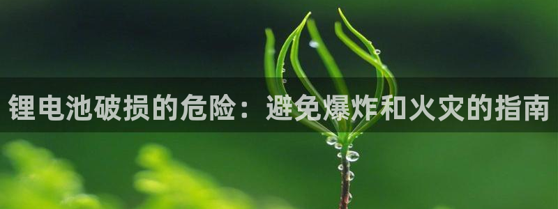 尊龙官方网址