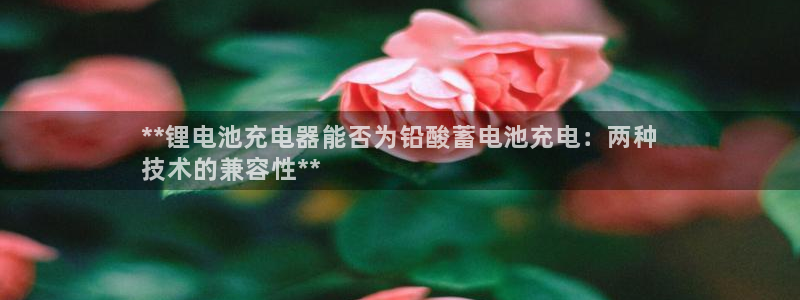 尊龙凯时取钱很慢