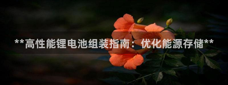 尊龙人生就是博旧版