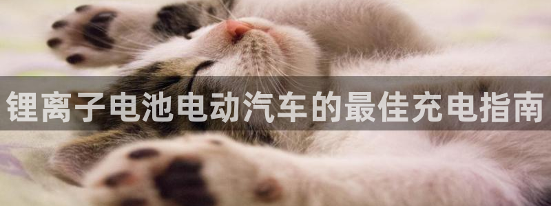 凯时效果怎么样