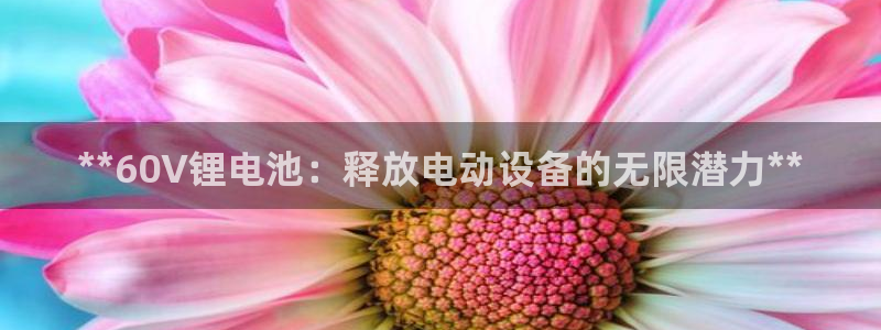 尊龙人生就是博旧版