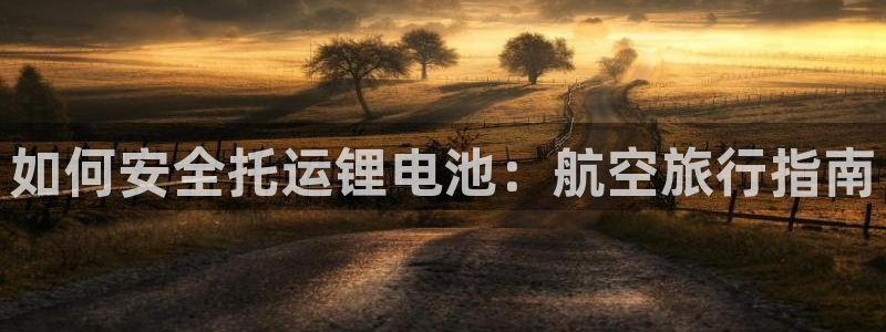 尊龙凯时logo