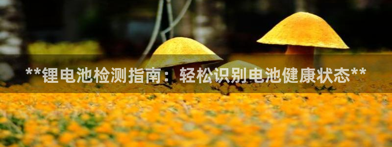 尊龙凯时可以提现吗