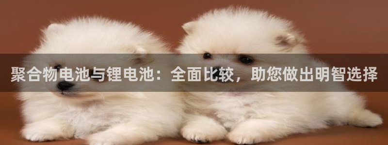 凯时kb88官方