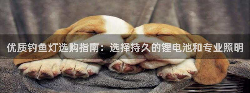 尊龙d88会员