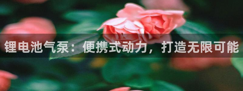 尊龙手机版