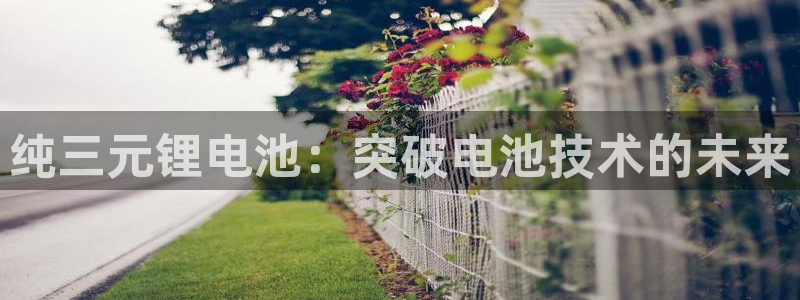 尊龙凯时 人生就是搏