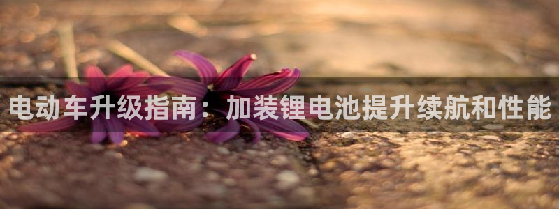 尊龙 6