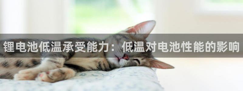 尊龙凯时开发
