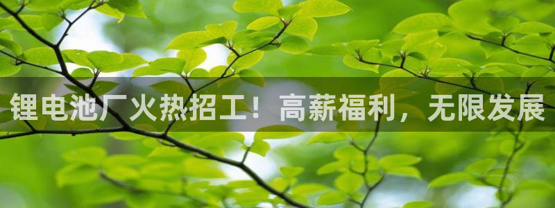 尊龙凯时法充十万返现多少
