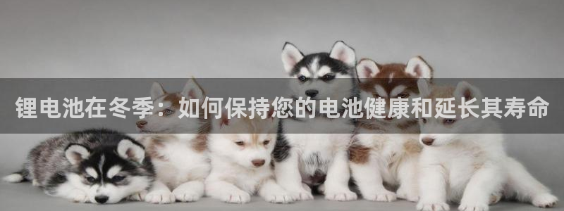 d88尊龙手机客户端下载