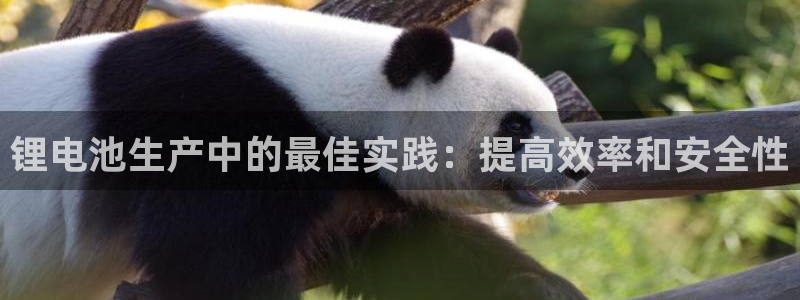 尊龙凯时输钱的原因