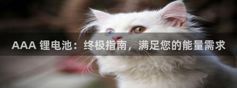 尊龙凯时-人生就是博中国官网