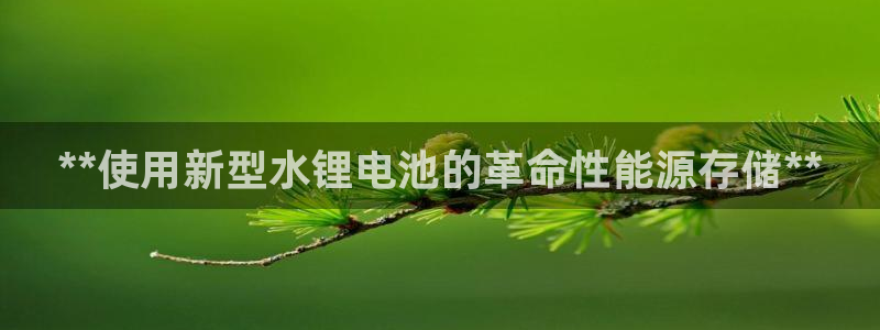 尊龙游戏官网