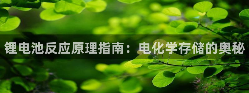 尊龙得过奥斯卡吗