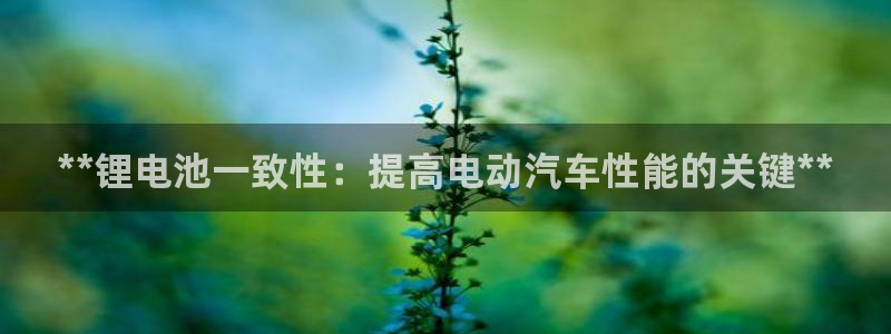 尊龙凯时人生就是搏 品牌专区