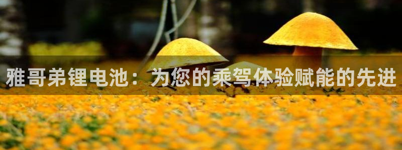 旧版尊龙人生就是博下载