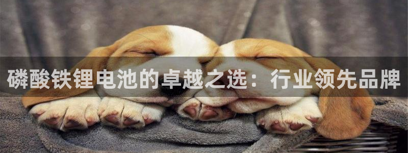 尊龙d88官网准认来就送38：磷酸铁锂电池的卓越之选：行业领先品牌