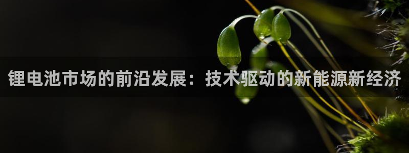 尊龙人生就是博中国区