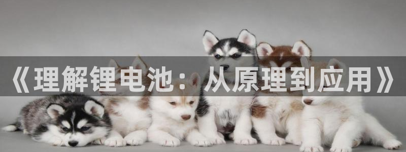 尊龙凯时白家乐