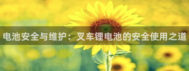尊龙集团有限公司官网地址