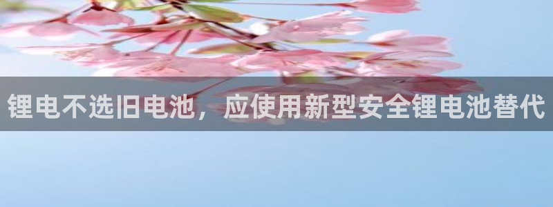 尊龙凯时请求参数不符合
