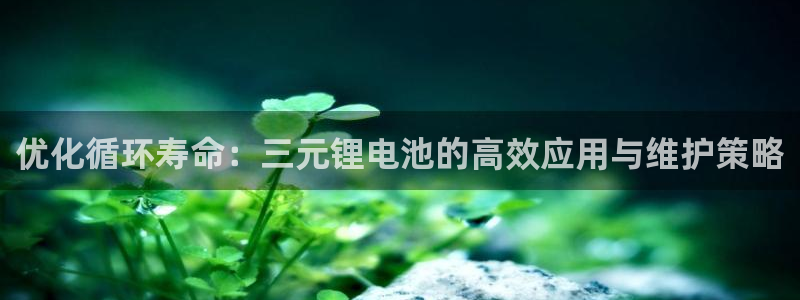 凯时k8官网首页