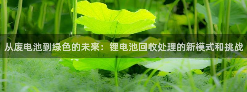 尊龙集团有限公司是国企吗