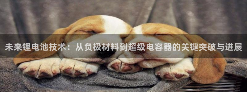 尊龙凯时赢不了