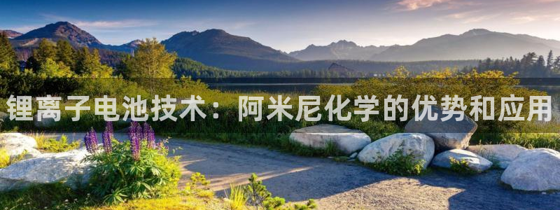 尊龙专访：锂离子电池技术：阿米尼化学的优势和应用