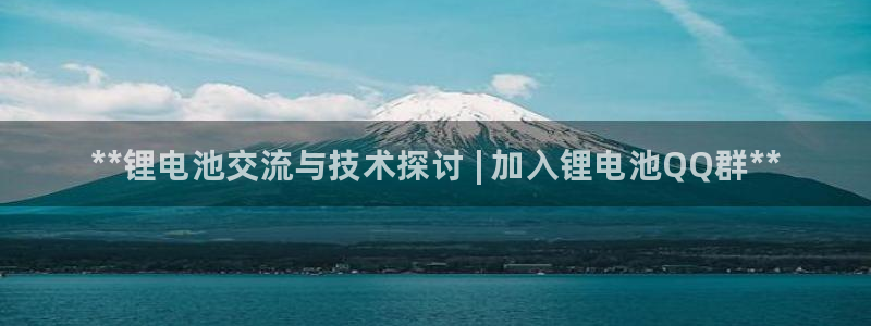 尊龙服饰品牌介绍：**锂电池交流与技术探