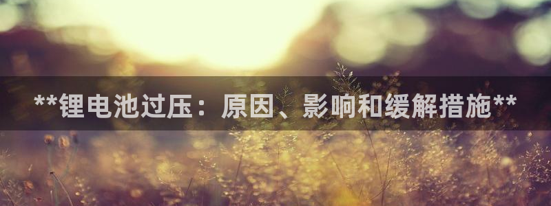尊龙凯时取款24小时不到账：**锂电池过压：原因、影响和缓解措施**