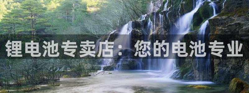 尊龙凯时网站赌愽是真的吗：锂电池专卖店：您的电池专业