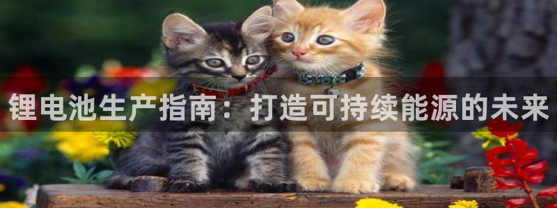 尊龙网站注册网：锂电池生产指南：打造可持续能源的未来