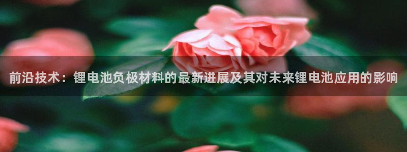 Z6尊龙官网入口