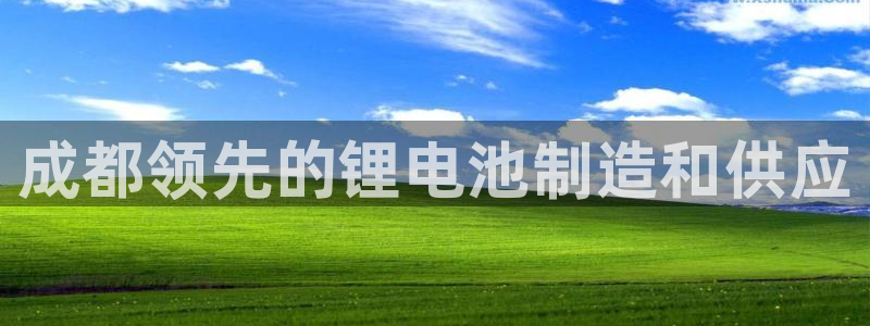 尊龙am i blue：成都领先的锂电池制造和供应