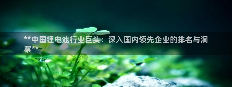 尊龙人生就是博l：**中国锂电池行业巨头：深入国内领先企业的排名与洞
察**