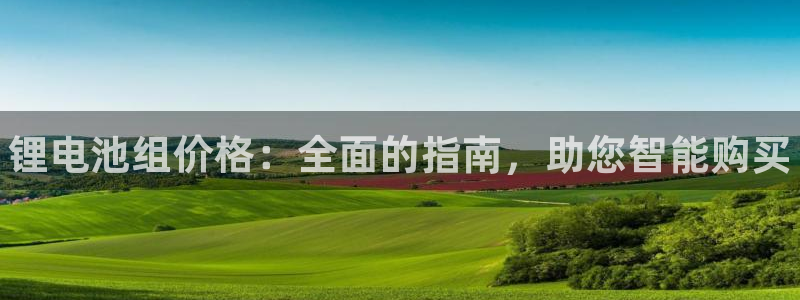 尊龙 10：锂电池组价格：全面的指南，助