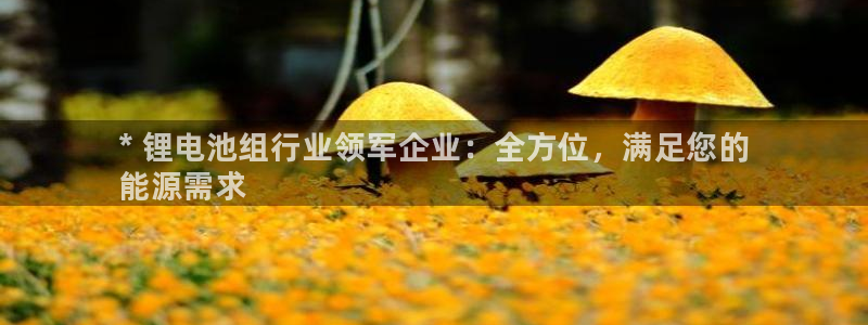 Z6尊龙凯时登录