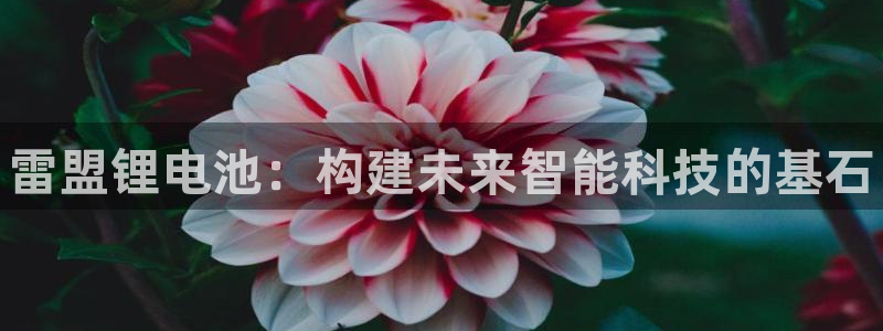 尊龙d88官网赢来就送38