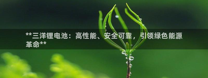尊龙凯时出款：**三洋锂电池：高性能、安全可靠，引领绿色能源
革命**