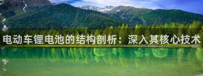 尊龙凯时家居是品牌吗：电动车锂电池的结构剖析：深入其核心技术