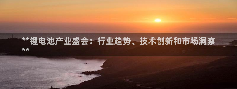 尊龙凯时的企业文化：**锂电池产业盛会：行业趋势、技术创新和市场洞察
**
