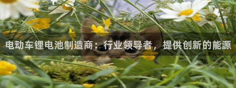 尊龙官网注册：电动车锂电池制造商：行业领导者，提供创新的能源
