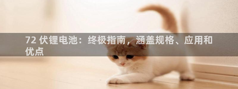 尊龙eight is enough：72 伏锂电池：终极指南，涵盖规格、应用和
优点