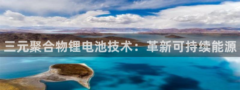 尊龙ag旗舰厅下载：三元聚合物锂电池技术：革新可持续能源