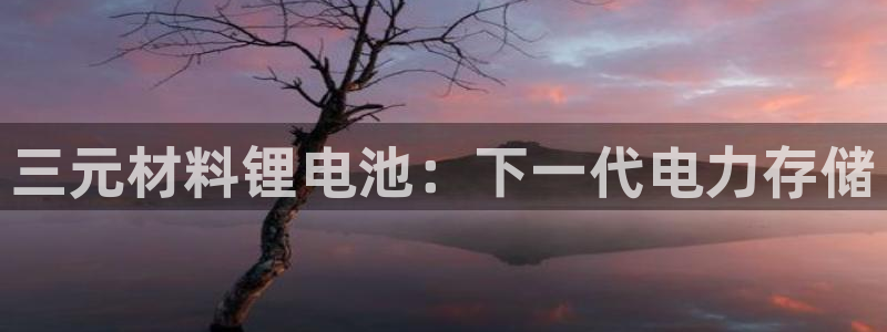 尊龙官网下载：三元材料锂电池：下一代电力存储
