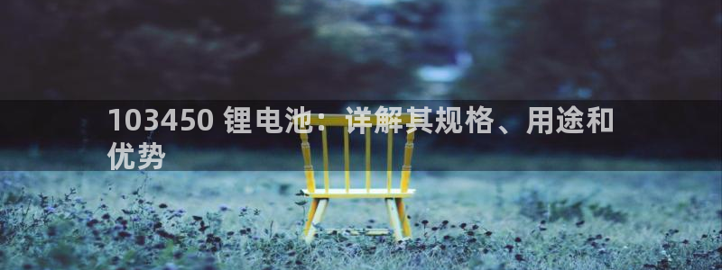 尊龙版末代皇帝：103450 锂电池：详解其规格、用途和
优势