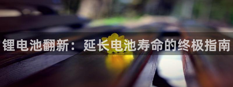 尊龙网页：锂电池翻新：延长电池寿命的终极